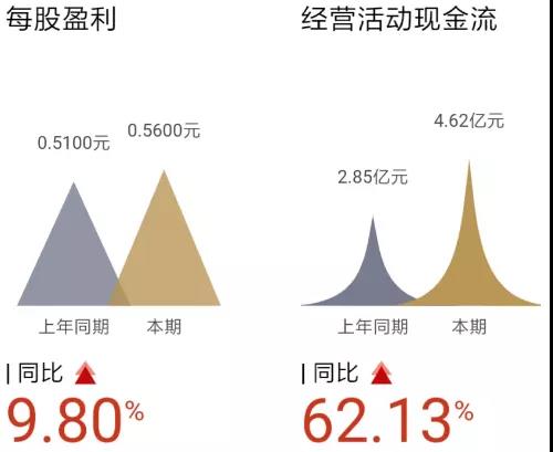 早看早赚!杭叉招募仓储车区域独家代理!(图9) 早看早赚!杭叉招募仓储车区域独家代理!(图9)