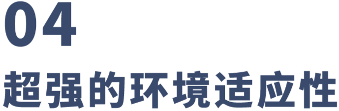 XC锂电叉车：从电池开始，我就与众不同了！(图11)