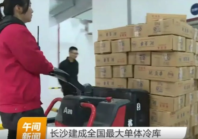 杭叉成为中国最大单体冷库搬运主力军！(图4)