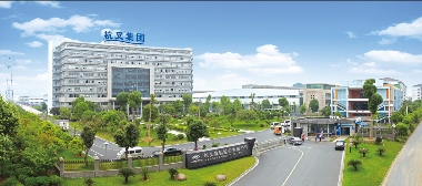 叉车制造商杭叉集团逆势增长销量持续领先全球市场(图2)