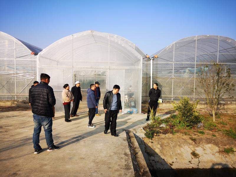 乡村振兴定点帮扶调研，产业升级与基层组织建设是关键(图2)