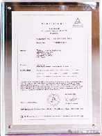 战略合作深化,共拓国际市场,赋能工业车辆高质量发展(图4) 战略合作深化,共拓国际市场,赋能工业车辆高质量发展(图4)